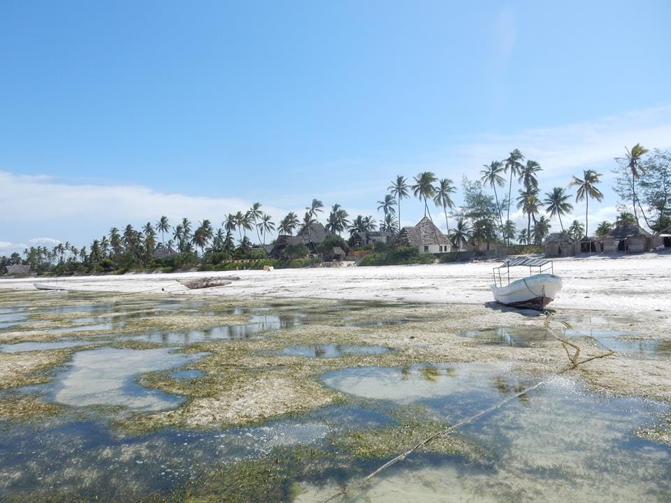Ebbe-auf-Sansibar (1)