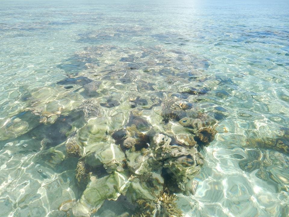 Ebbe auf Sansibar (2)