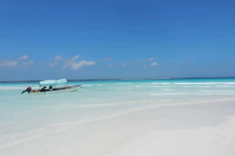 Paradies-Sansibar (2)