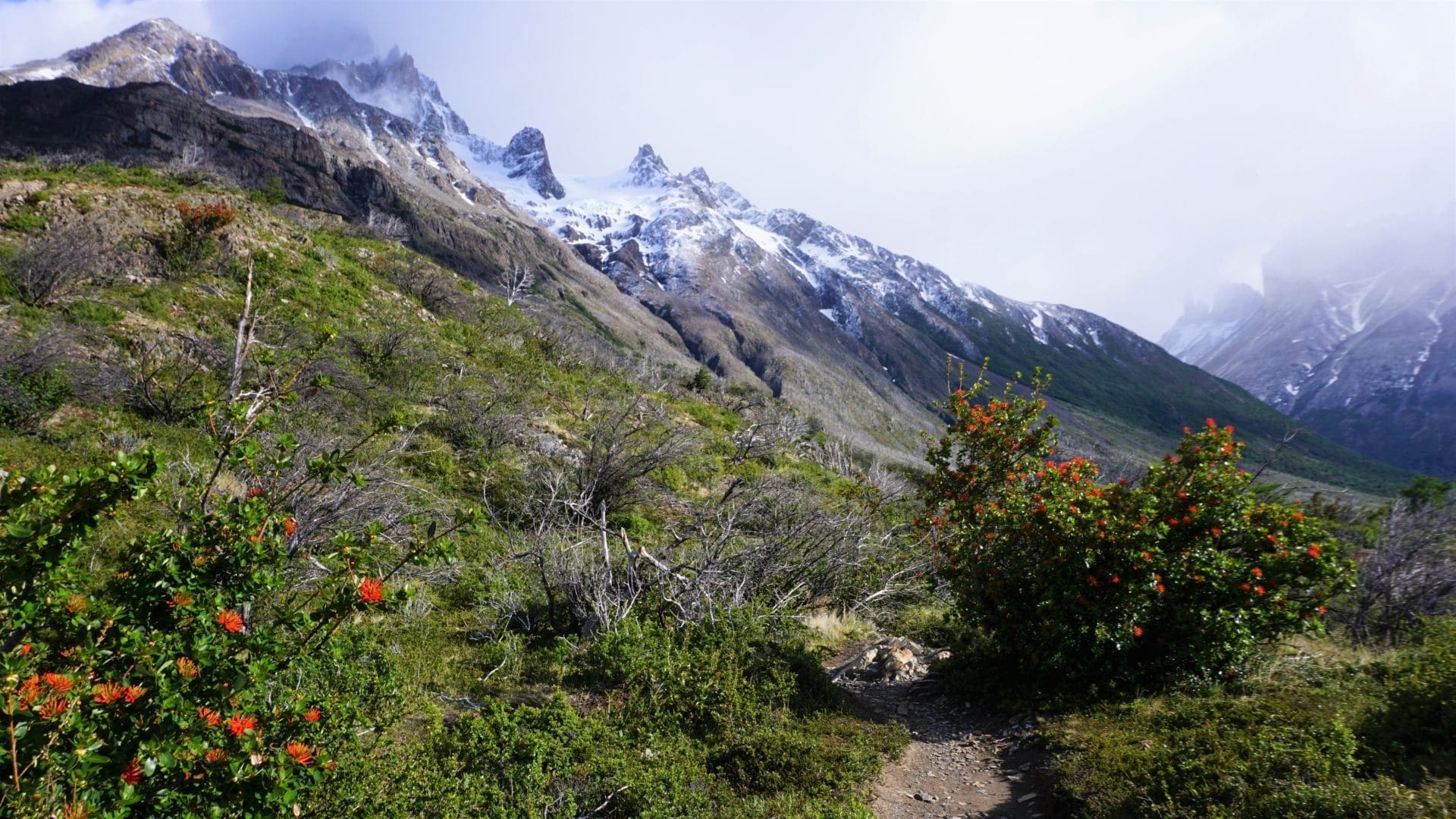 Torres del Paine Nationalpark
