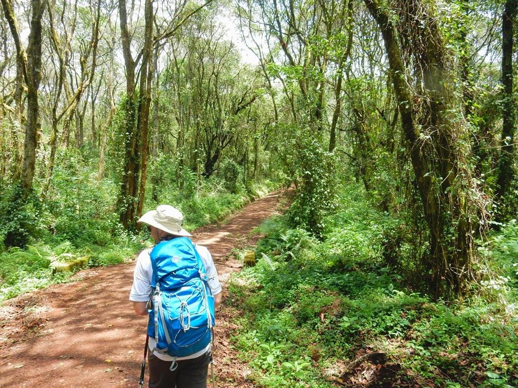 Kilimanjaro-besteigung-tag1 (3)