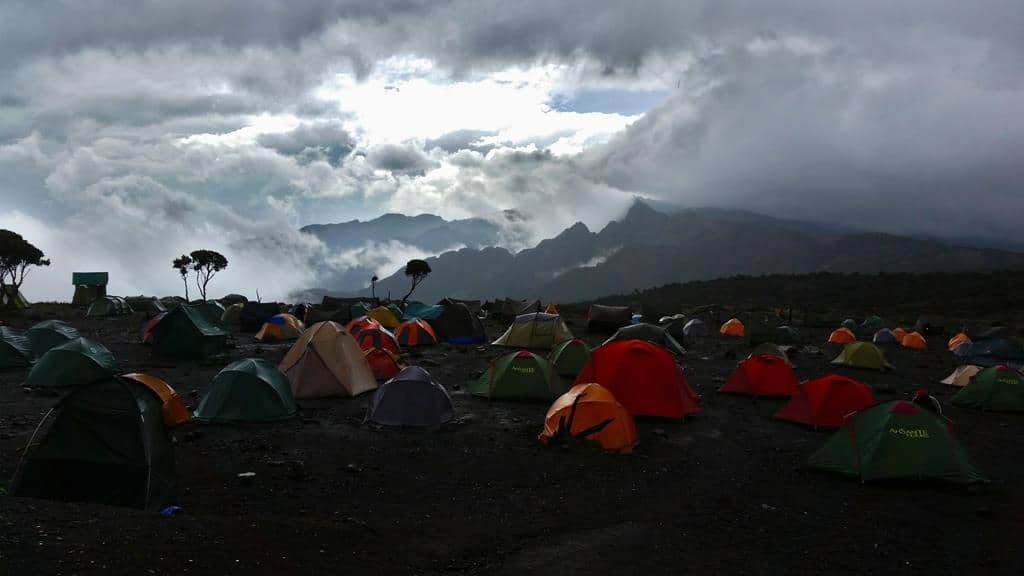Kilimanjaro-shira-camp (2)