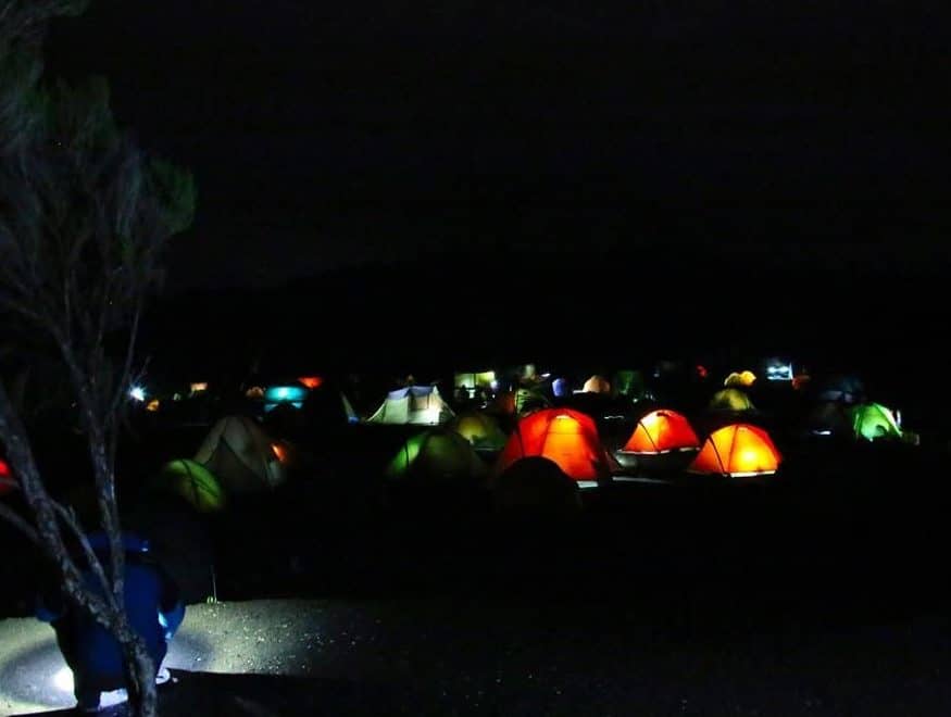Kilimanjaro-shira-camp (6)