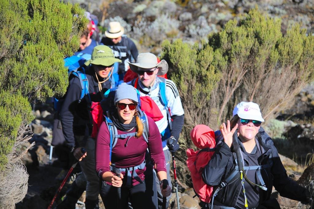 Kilimanjaro-trekking-tag3 (2)