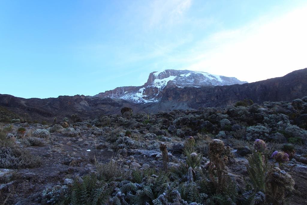 Kilimanjaro-trekking-tag3 (9) Ausblick vom Camp