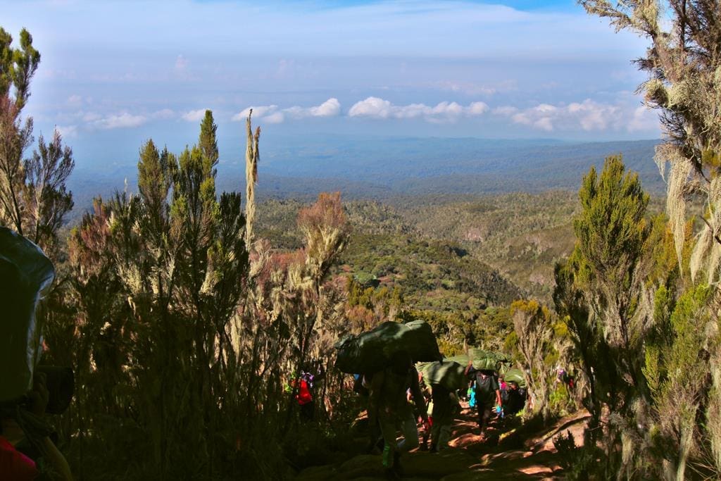 KilimanjaroBesteigung-tag2 (2)