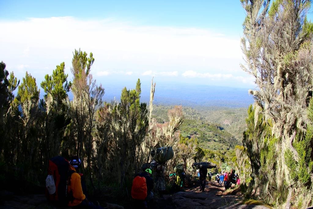 KilimanjaroBesteigung-tag2 (4)