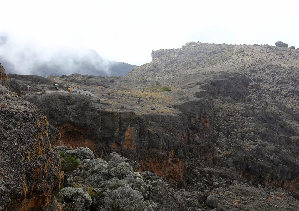 kilimanjaro-besteigung-barranco-wall (4)