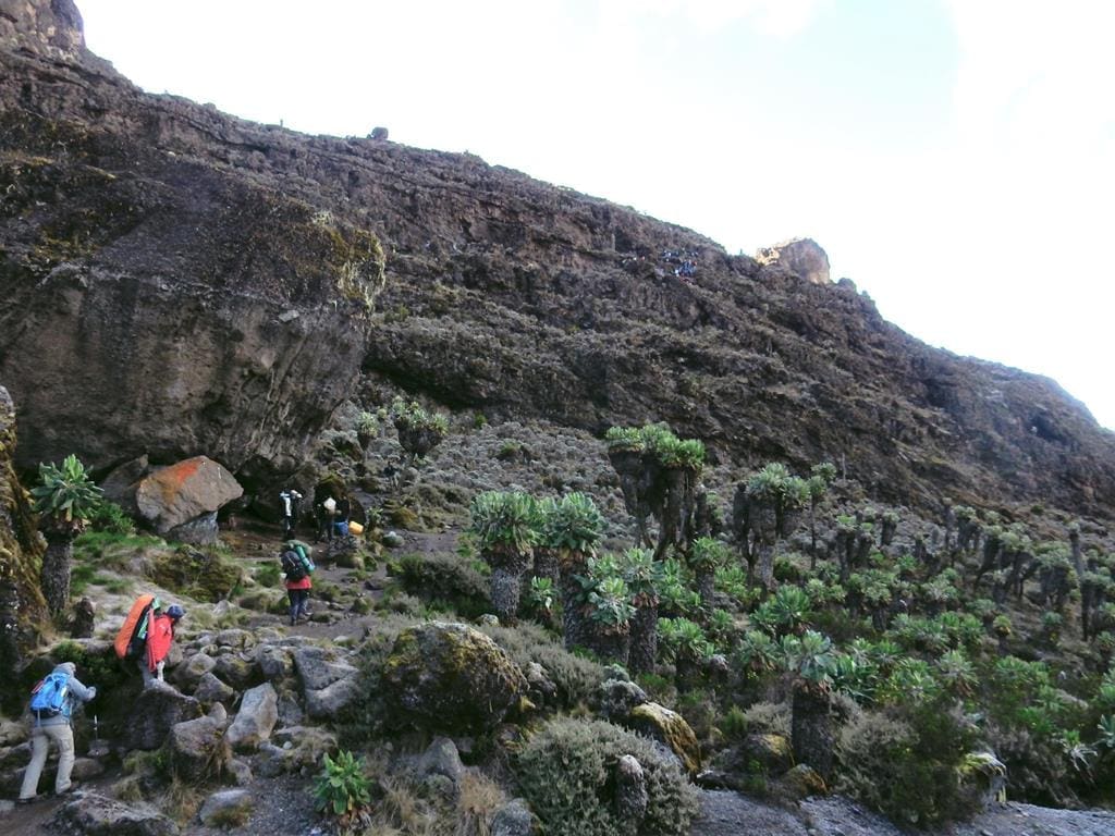 kilimanjaro-besteigung-barranco-wall