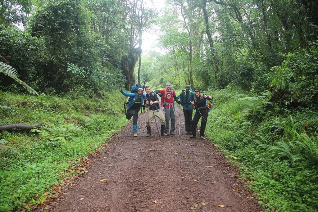 kilimanjaro-wandern (2) Freudiges Abschlussbild auf dem Rückweg