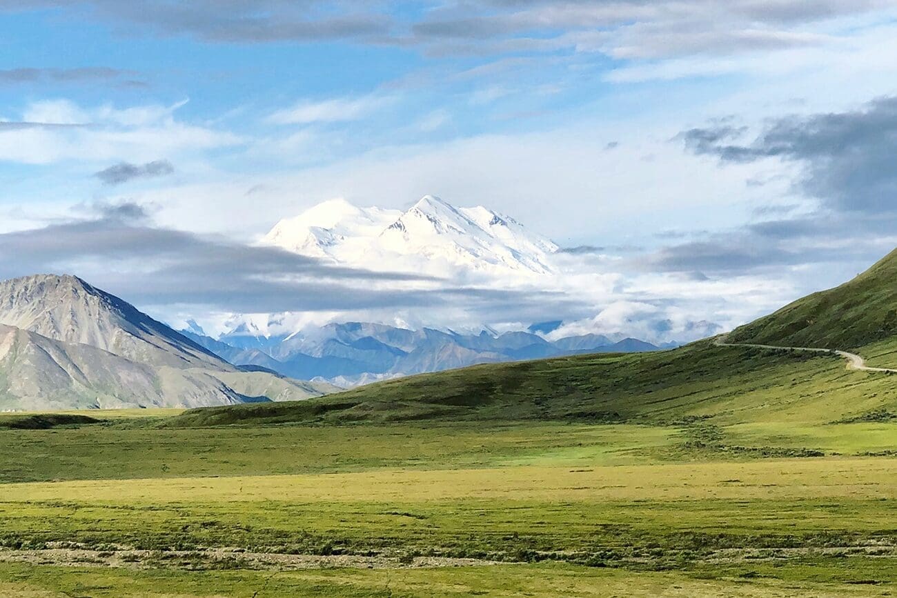 Blick auf den Denali