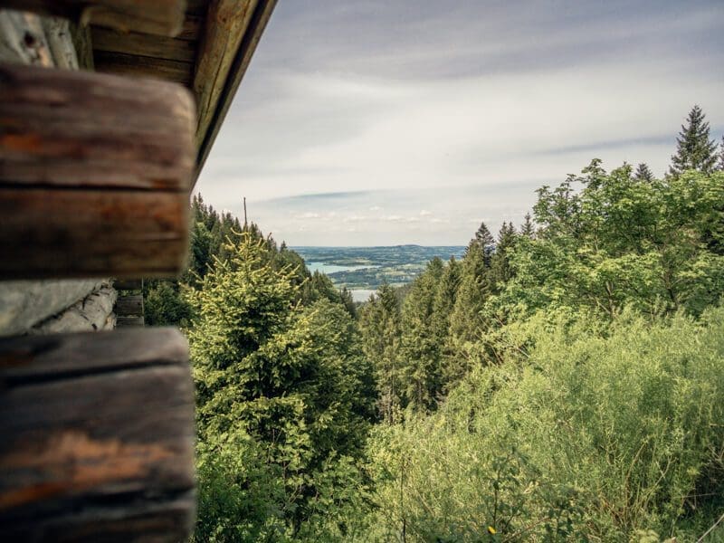 Ausblick von der Drehhütte zum Bannwaldsee