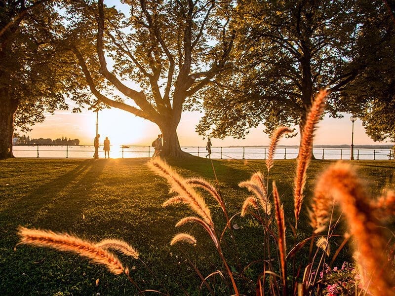 Die perfekte Tagesabschluss