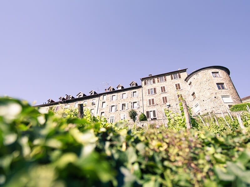 Die Bregenzer Oberstadt