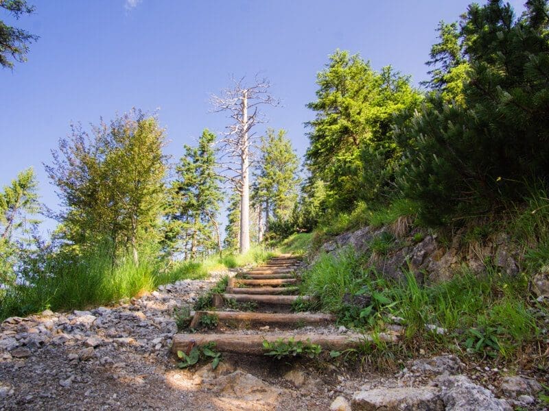 Hoher Frassen Aufstieg