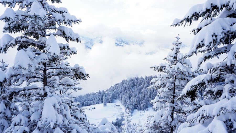 Wandern-im-Schnee-2 Winter Wonderland