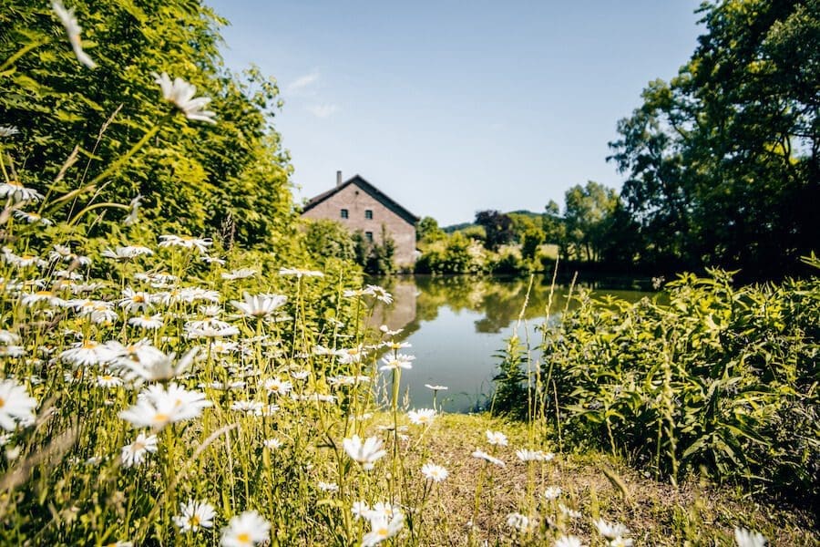 Amelungsborn-Wandern die große Anlage des Kloster Amelungsborn