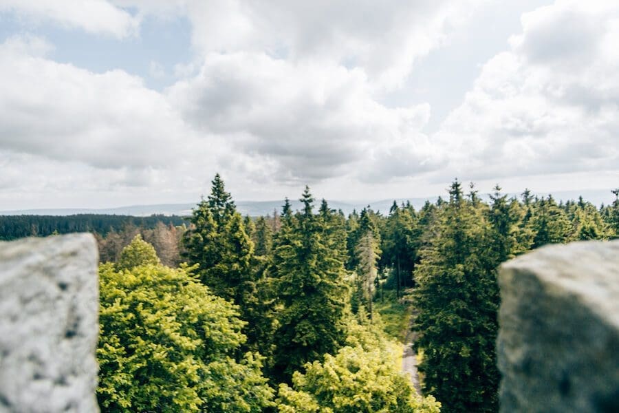Ausblick-Süntelturm Ausblick vom Süntelturm