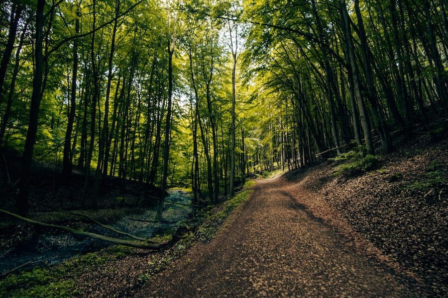 Waldbaden-Höllenbachtal Hollenbachtal Waldbaden
