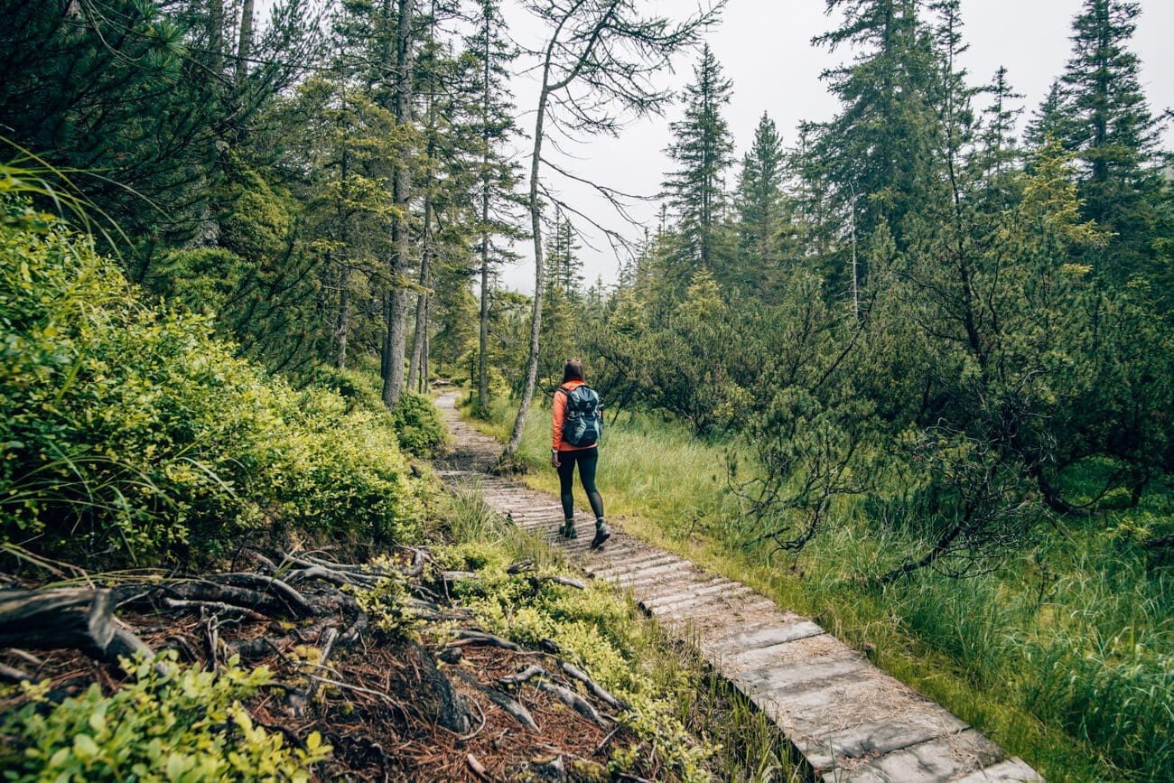 Piller-Moor26 Unterwegs auf dem Pillermoor Weg im Kaunertal