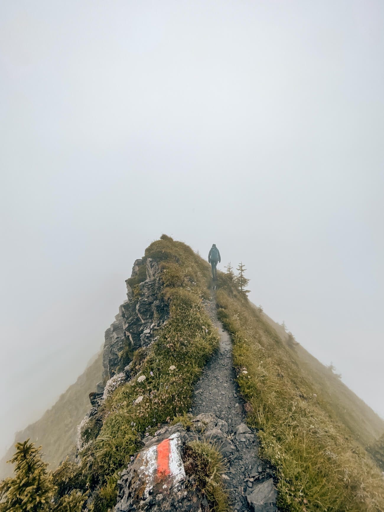 Arvigrat-Tell-Trail Gratwanderung Tell-Trail