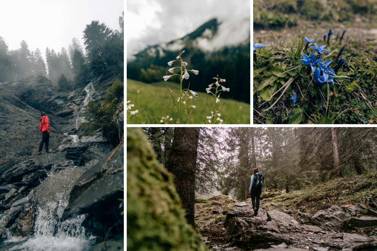 Wanderung-Hohe-Kugel Abwechslungsreiche Wanderung auf die Hohe Kugel