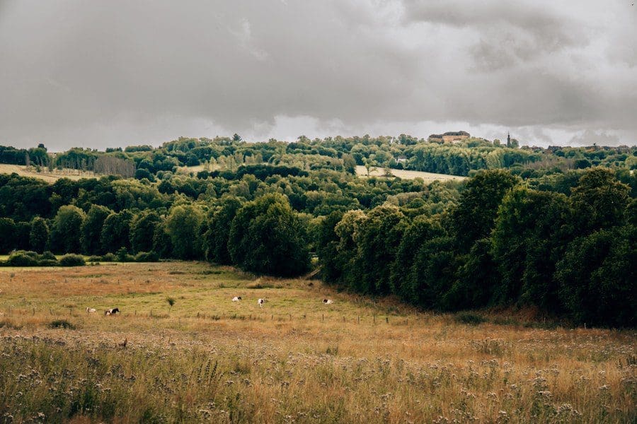 Ausblick Schloss Hachenburg Ausblicke auf Etappe 9: Schloss Hachenburg