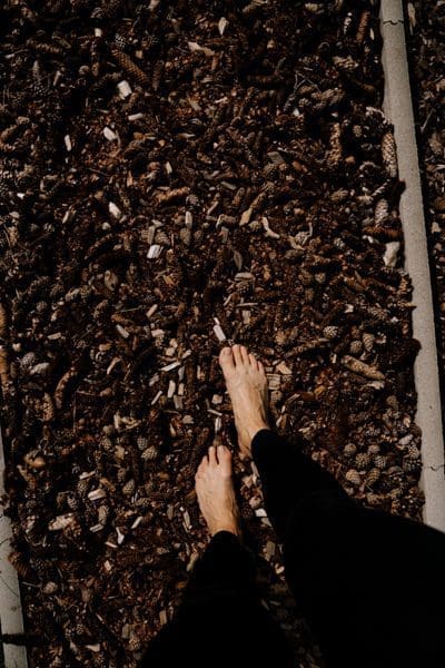 Barfusspark am Westerwaldsteig Barfusspark WesterwaldSteig