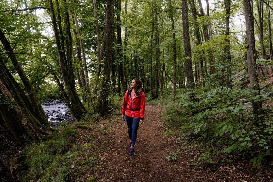 Durch Wälder im Westerwald Waldwandern WesterwaldSteig