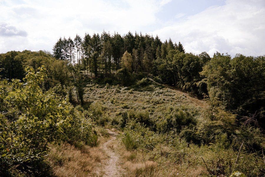 Grenzbachtal Wanderweg Granzbachtal