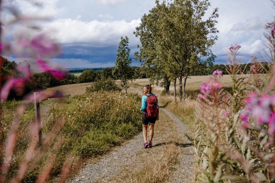 Wanderweg Hachenburg Wanderweg nach Hachenburg