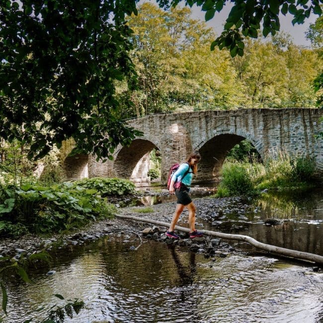 Westerwaldsteig Etappe 9 Nisterbrücke