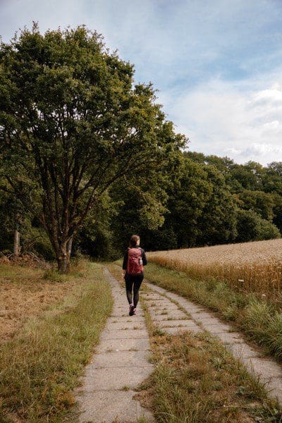 auf dem Westerwaldsteig Wanderweg Wiesen