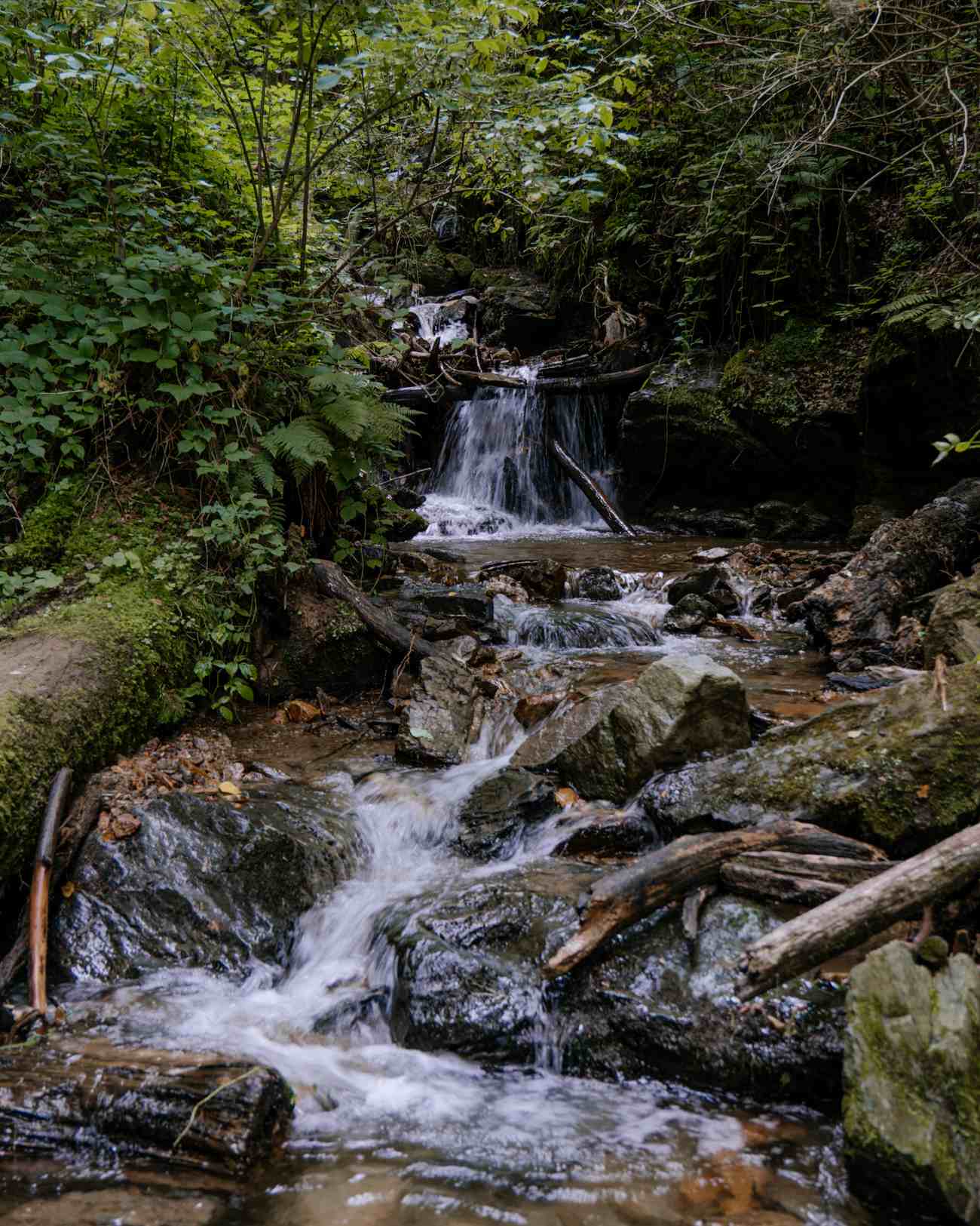 Heiligengeistklamm-Bach Wanderung durch die Heiligengeistklamm