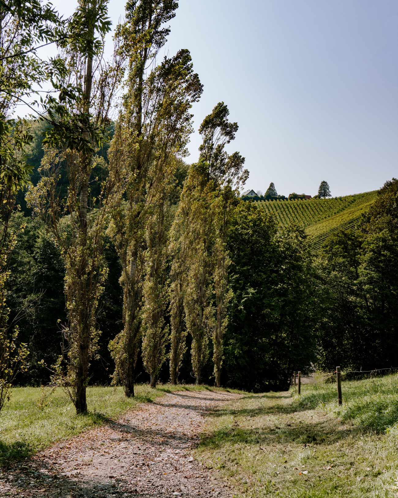 Steierische-Toskana Steirische Toskana