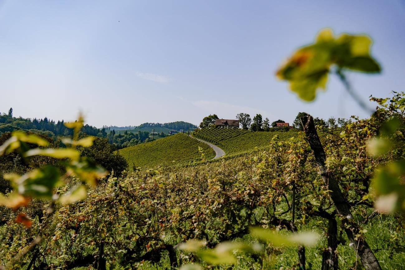 Südsteirische-Weinstraße Entlang der Südsteirischen Weinstraße