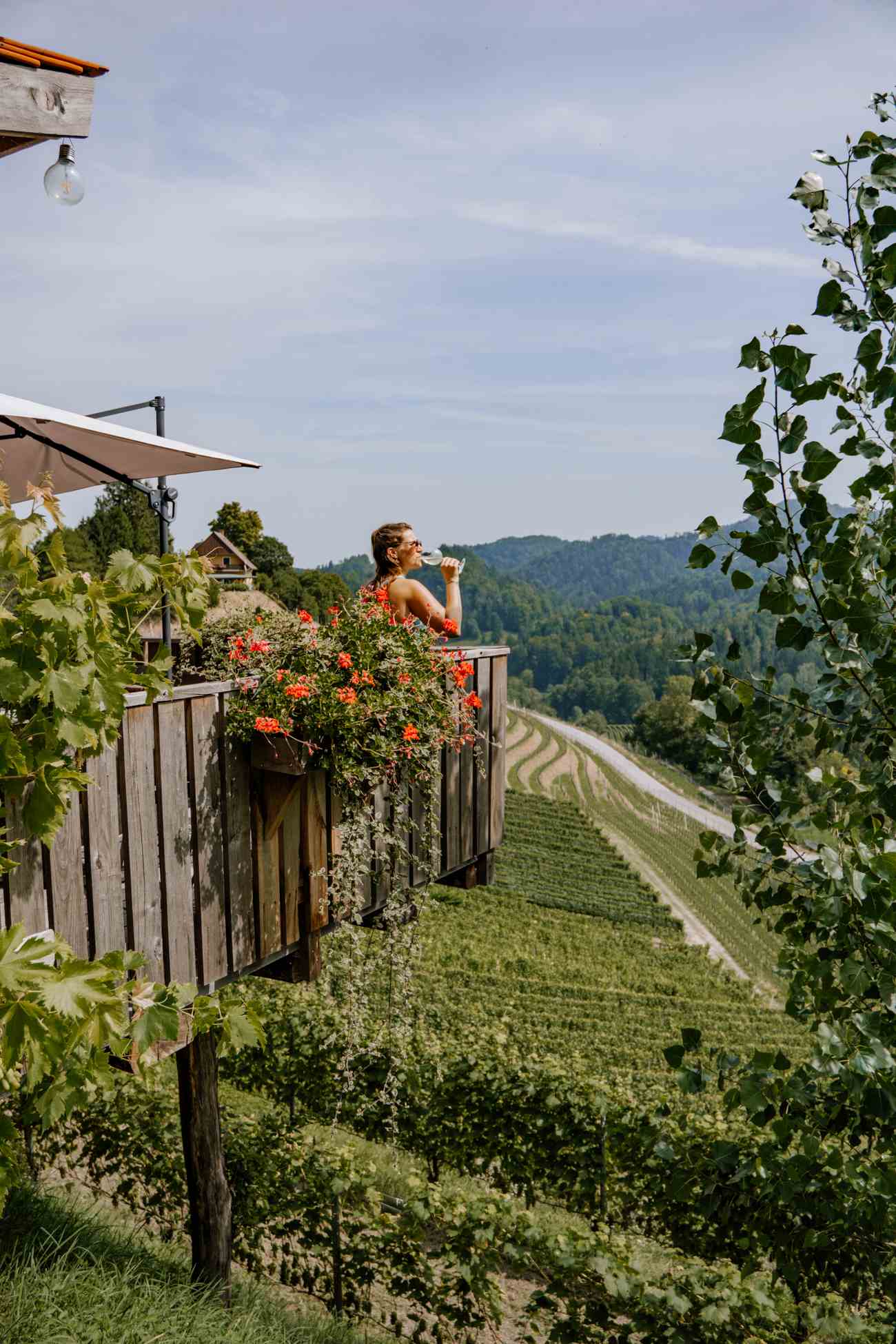 Weinverkostung Klammen & Wein