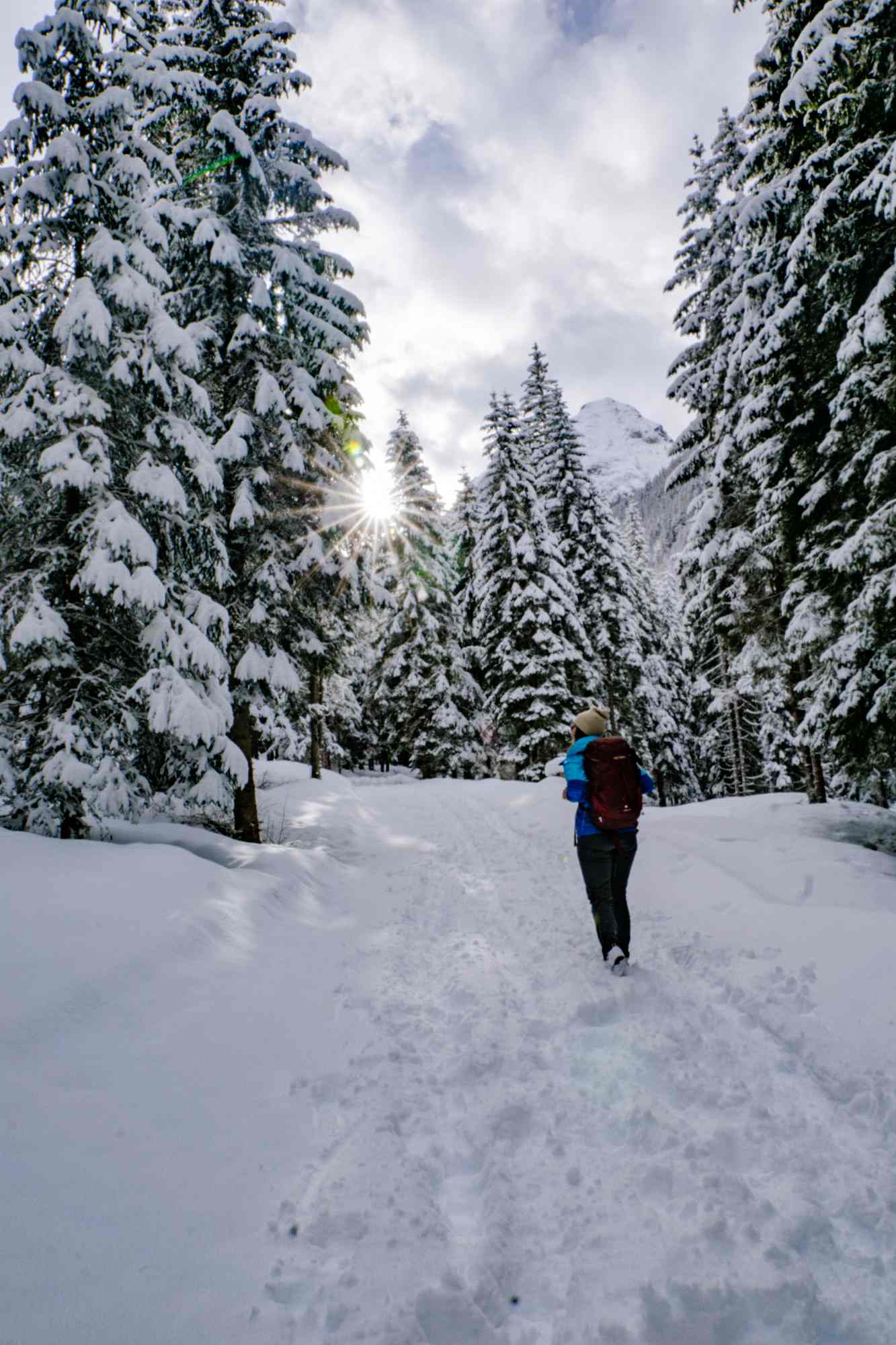 Winklertal-Wald Sonne durchbricht den Wald