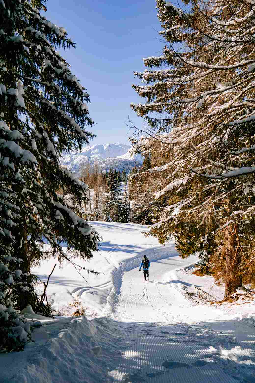 Winterawndern-Dorfberg-Kartitsch Wanderweg