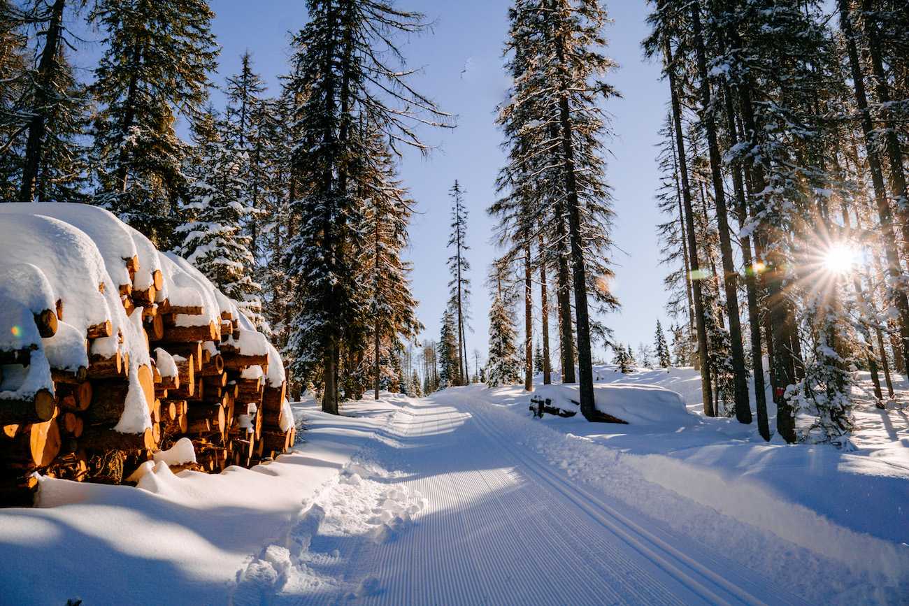 Zauberhafte-Winterwanderung winterliche Lichtstimmung im Wald