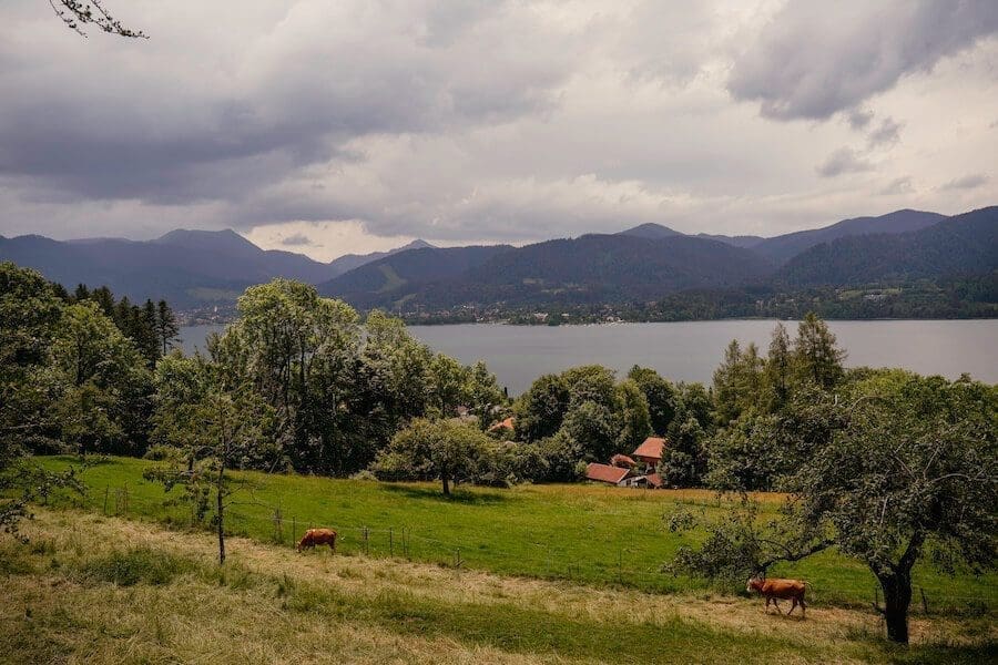 Ausblick auf den Tegernsee