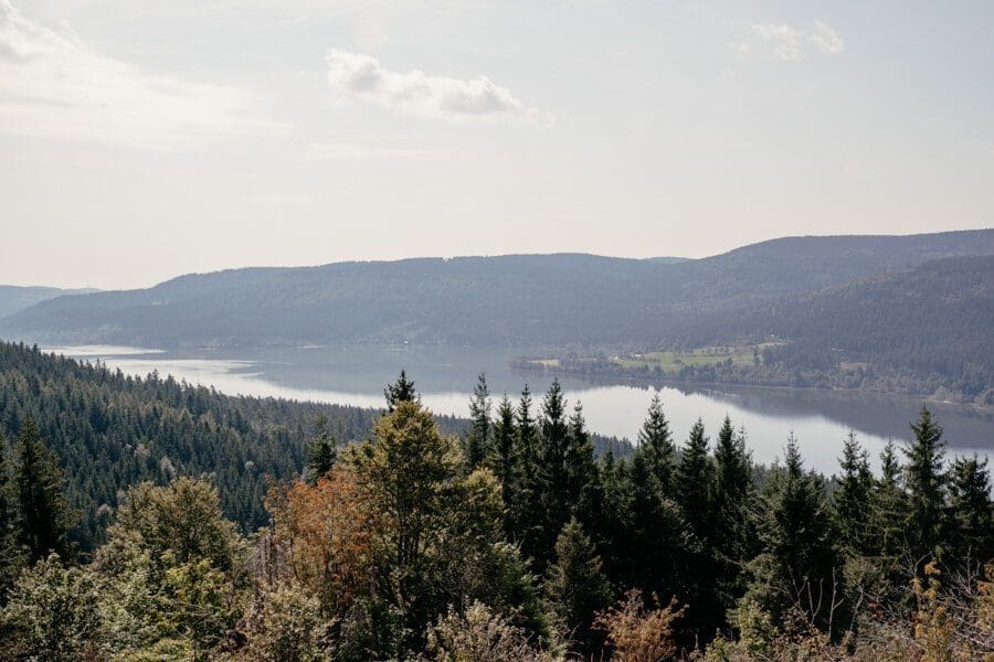 Traumhafter Ausblick vom Bildstein
