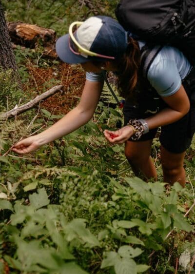 3-Balkan-Trail-Etappe-2-Valbona-Doberdol75 Himbeeren sammeln