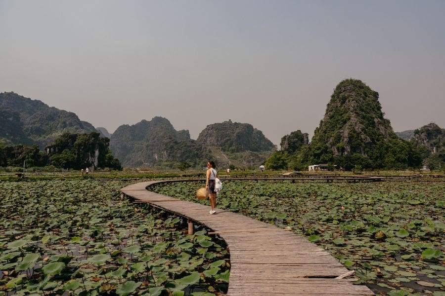 Lotuspfad bei Ninh Binh