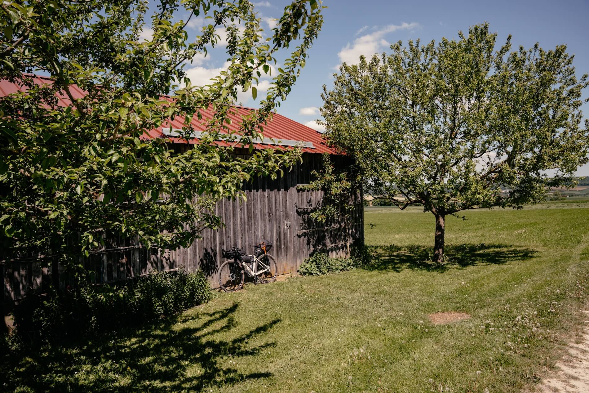 Bäume mit einer Bauernscheune