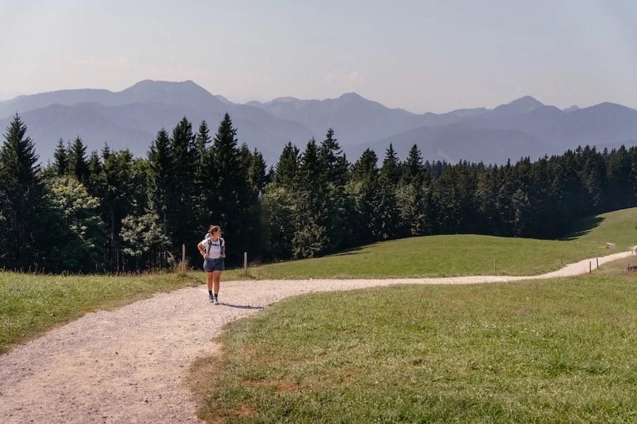 2025-08-12-Tegernsee-Schliersee119 (1) Auf dem Prinzenweg mit Alpen im Hintergrund