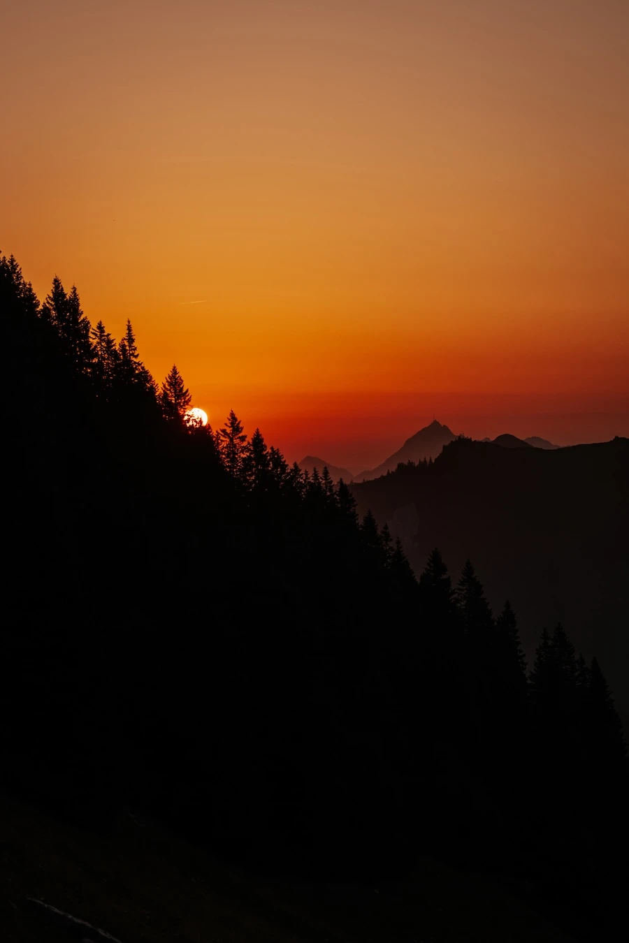 2025-08-14-Wallberg109 Sonnenaufgang Sonne hinter den Bäumen