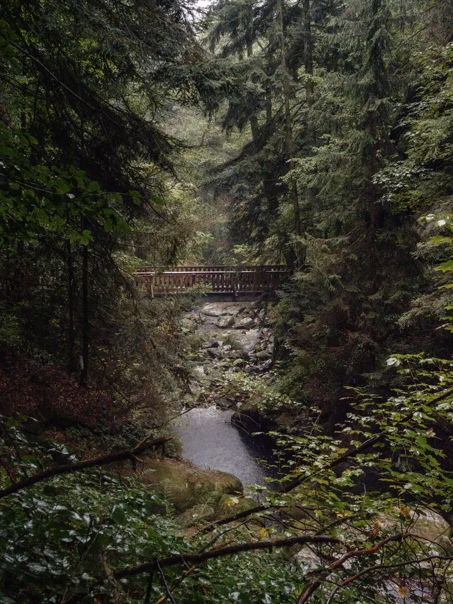 2025-09-10-Stillensteinklamm42 Über Brücken durch die Stillensteinklamm