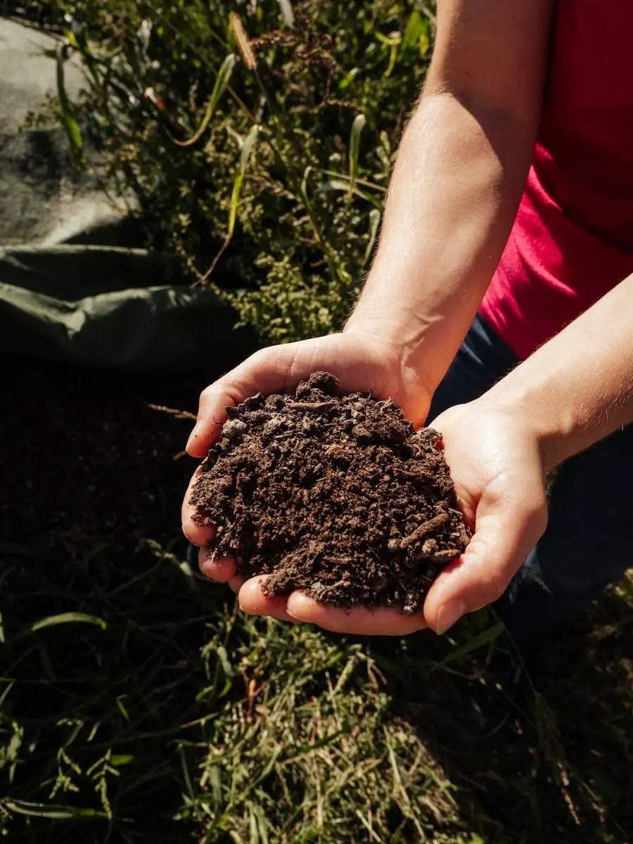 2025-09-11-Herzklopfenrunde146 Regionalität im Wanderdorf Bad Kreuzen