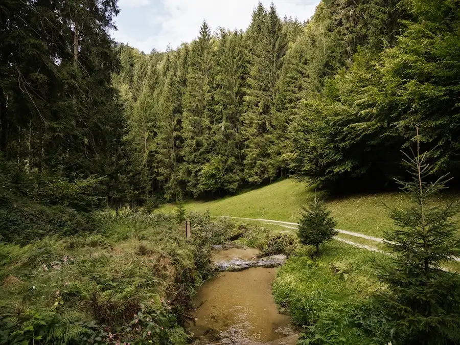 2025-09-12-Stilles-Tal49 Durch das Stille Tal